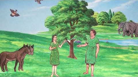 Creation vs Evolution | Bible Poem