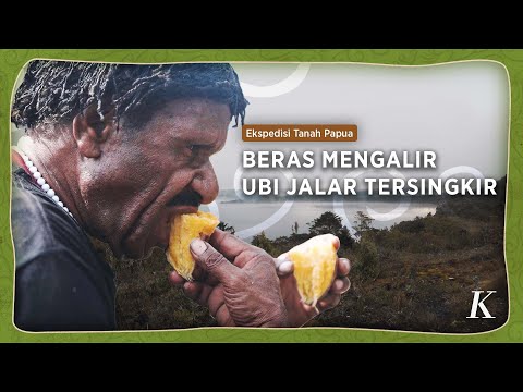 Mengenal Hipere, Makanan Masyarakat Dataran Tinggi Papua