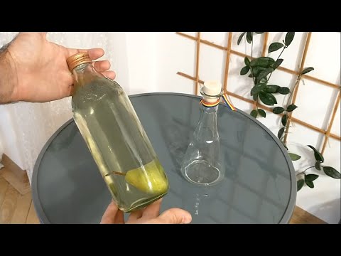 Video: Cum Ajunge O Pară într-o Sticlă?