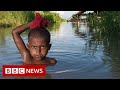 New video by BBC News on YouTube