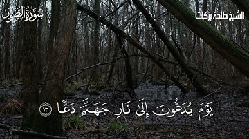 تلاوة من سورة الطور من بدايتها إلى الآية ١٦ || الشيخ طلحة بركات ||