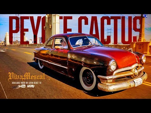 Viva Mescal - Peyote Cactus (Official Music Video)