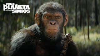 El Reino del Planeta de los Simios |  Vívela en IMAX | HD