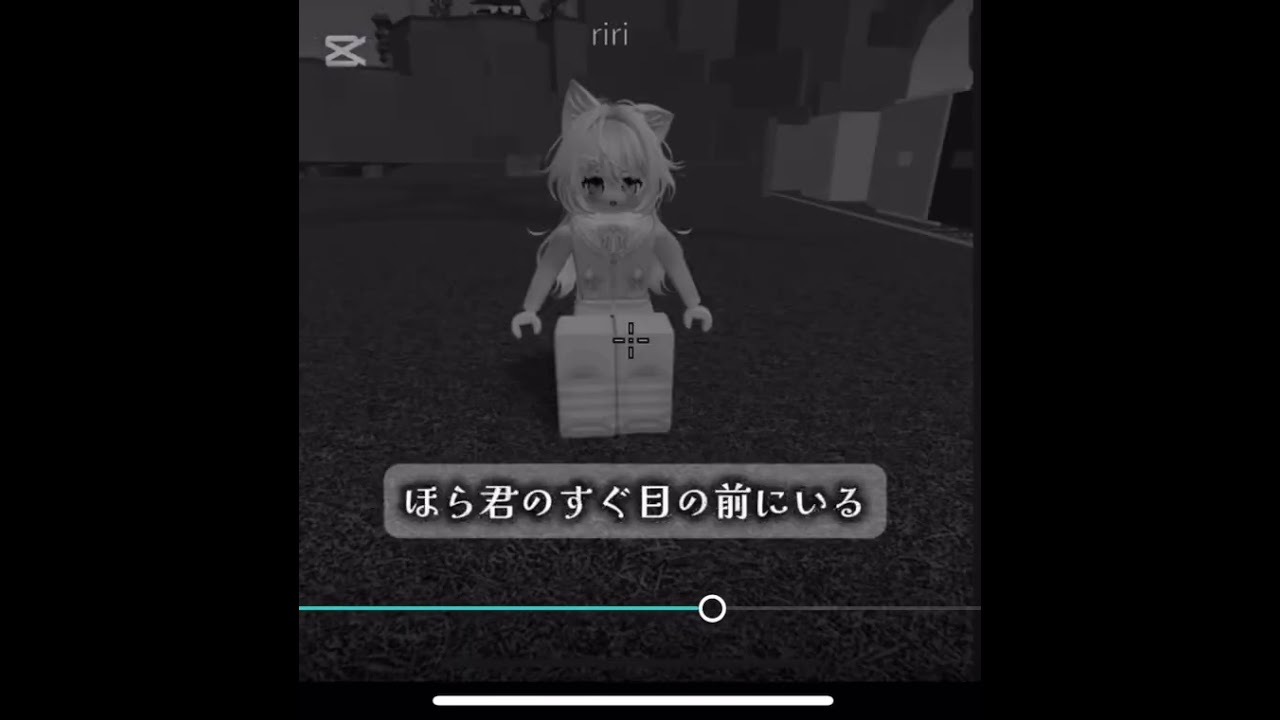 私のスキンの上に書いてある表示名      メインなのは気にしないでください