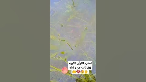 احترم القرآن الكريم 30 ثانيه من وقتك ✋😓💔🤲