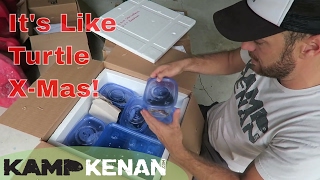 massive rescued turtle unboxing