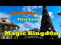 Disney's Magic Kingdom - Christmas FIRST LOOK