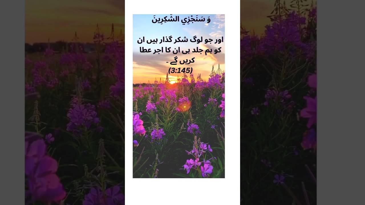 Beautiful ayat #religion #islam#shorts#short #shortvideo#quran#reels #foryou#ayat#learning #quotes