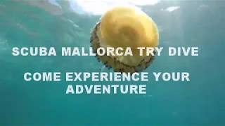 Try dive