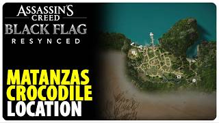 Matanzas Crocodile Location | Assassins Creed Black Flag Resynced