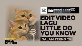 Cara Edit Video "Little do You Know" di CapCut, Mudah Banget!