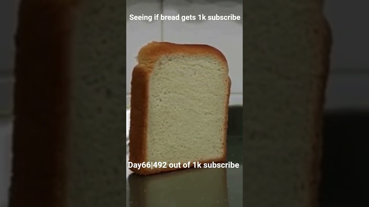 Bread Challenge Will We Reach 1K Subscribers 