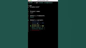 What is SWC in Vite ? The Rust-powered compiler behind Vite & Next.js