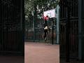 Верь в себя ‼️ #basketball #nba #workout #баскетбол #спорт #trending #slamdunk #streetball #dunk