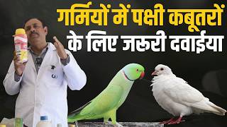 गर्मियों में पक्षी कबूतरों के लिए जरूरी दवाईया | Medicine For Pigeon and Parrot | Dr Nagender Yadav