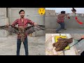 Eagle ko aj paker liya  easy eagle trap using net   how to catch eagle  waqar mini zoo