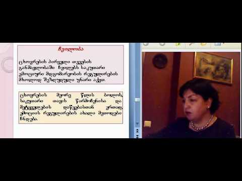 მაია წერეთელი, განვითარება 12-5