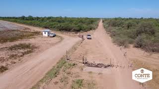 Conte Bienes Raíces - Campo Gallo 12011 Has