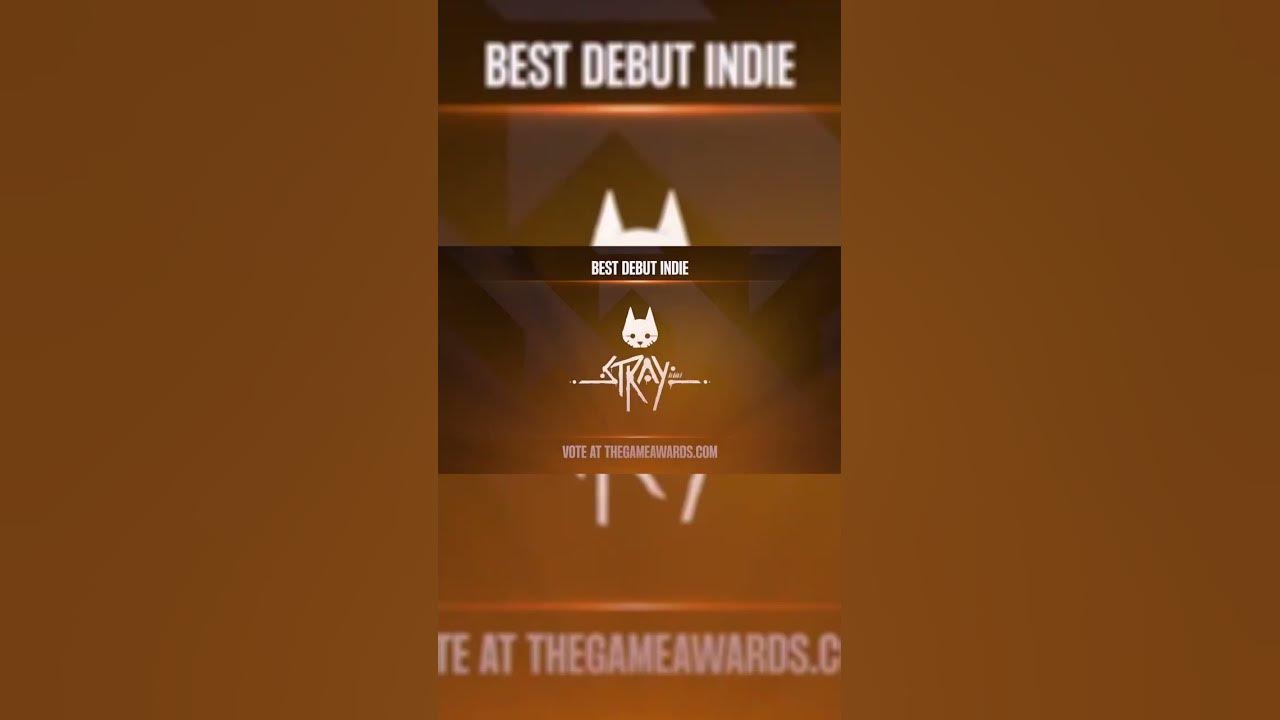 Stray' Wins Best Debut Indie at The Game Awards 2022