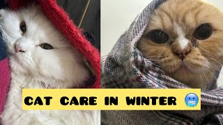 Winter cat care || How to keep Persian cat warm and healthy in winter by leoko vlog 711 views 4 months ago 5 minutes, 2 seconds