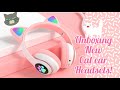 unboxing new cat ear headphones!