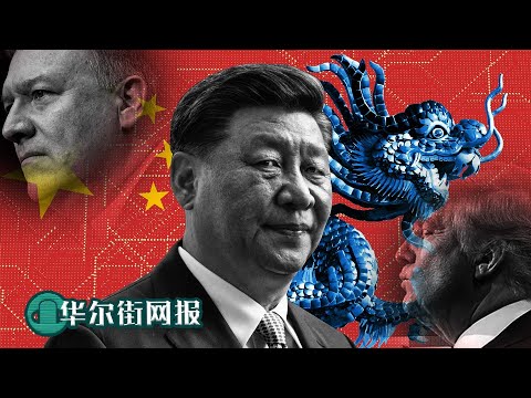 习近平外交思想来自黑帮大片：法外之地缜密布局，一次得手可再放肆！世界叫苦不迭，如何扭转霸凌等式？中国官方定性：TikTok交易实属敲诈，绝不答应！2020年中企以美元计价债务违约额猛增翻三倍【字幕版】