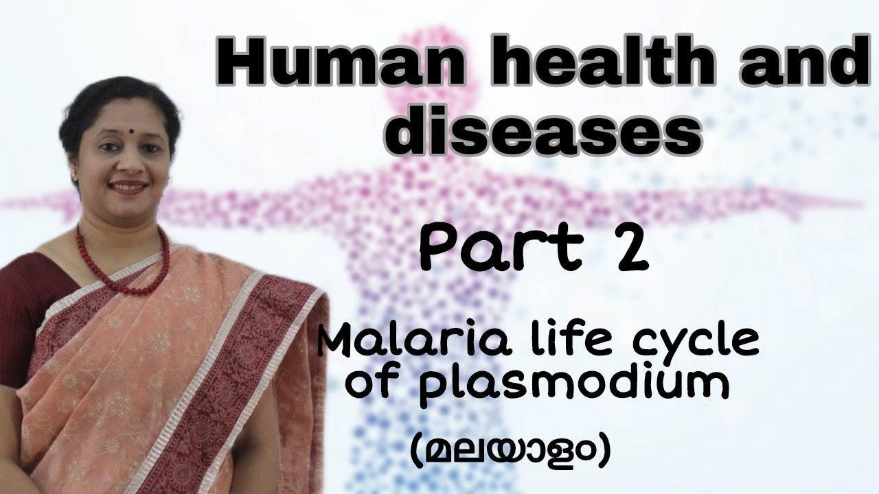 NEET: HUMAN HEALTH AND DISEASES: PART 2:  MALARIA (LIFE CYCLE OF PLASMODIUM) MALAYALAM