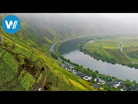 Zwei Tage entlang der Mosel - Koblenz bis Traben-Trarbach (September 2019)