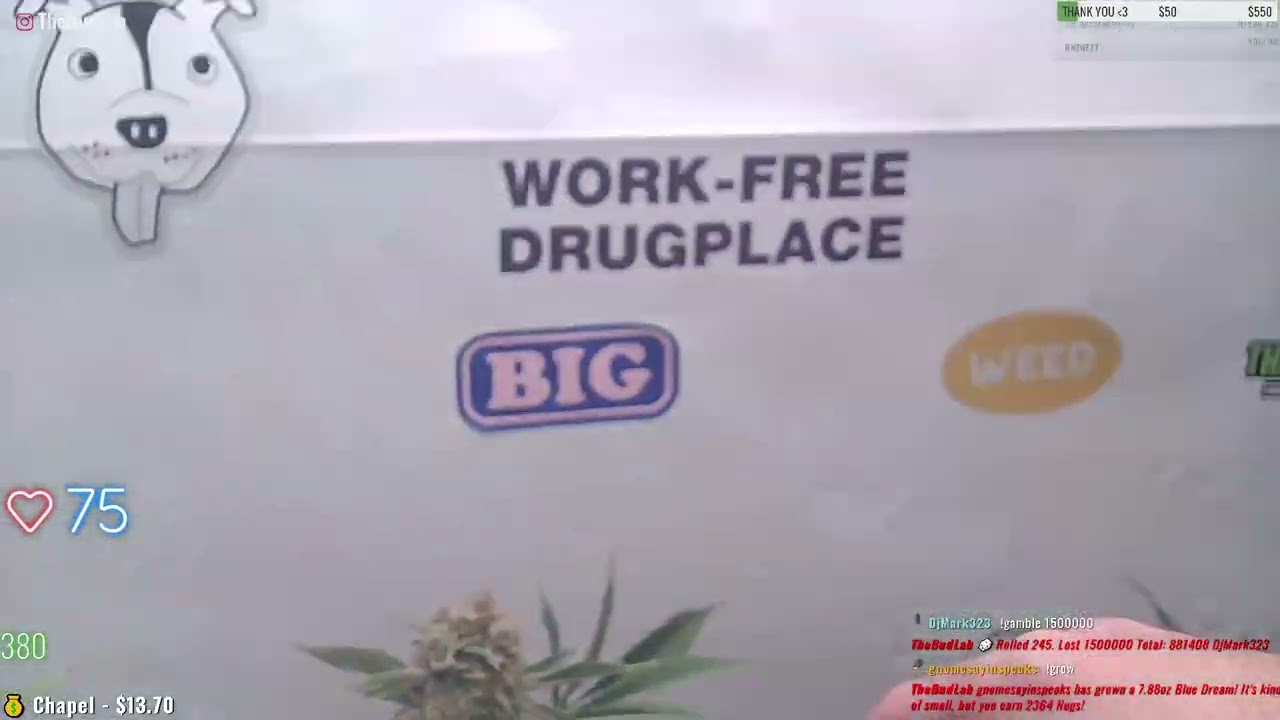 Triangle Mints #3 (Wedding Cake) Cannabis Strain