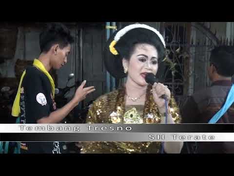 Kang Mas Tarmadji Boedi Harsono , Mengenal Guru Sejati Belajar dari Alam Semesta