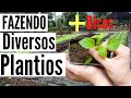 Plantando Várias hortaliças, Várias dicas no Final do vídeo