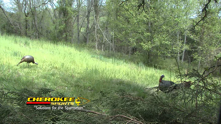 The 4 Yard Gobbler - Jason Lankford 2nd Turkey Hunt
