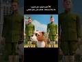 الكلب المشرد دخل الجيش جاك إد اه بسكوتة والكلب بقى بطل حقيقي   كوميديات افلام
