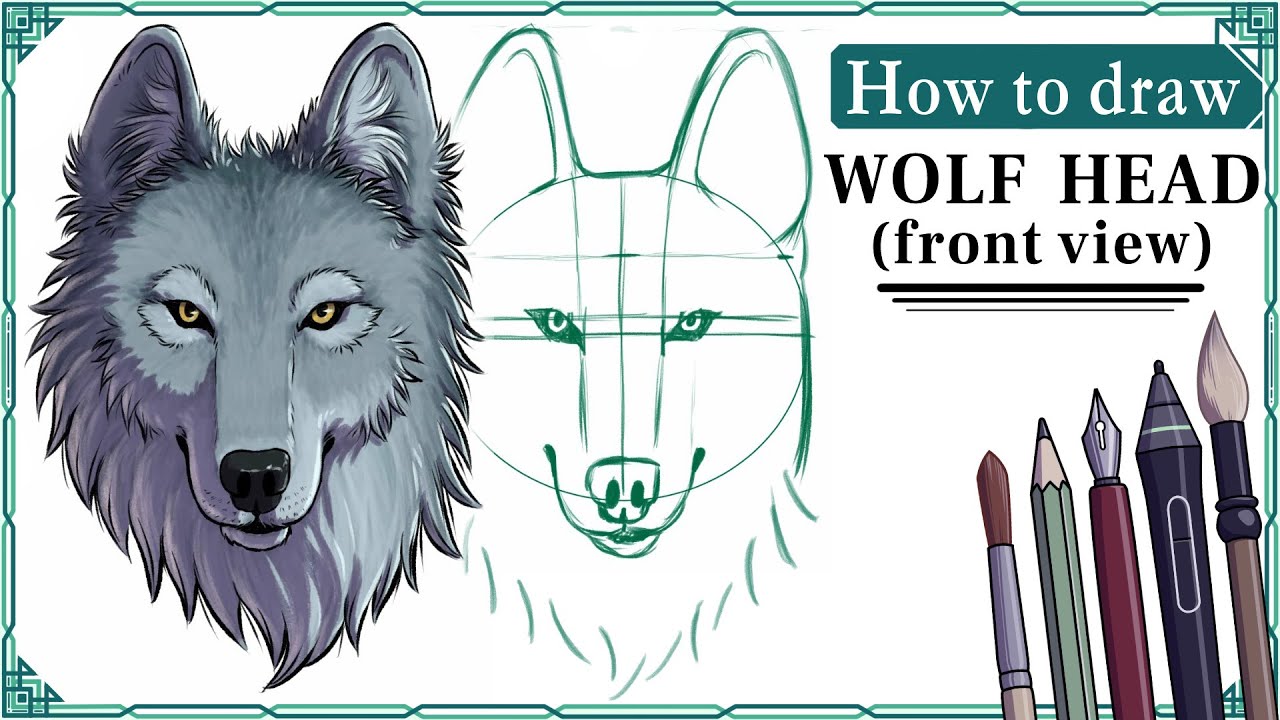 How To Draw A Wolf Head Front View