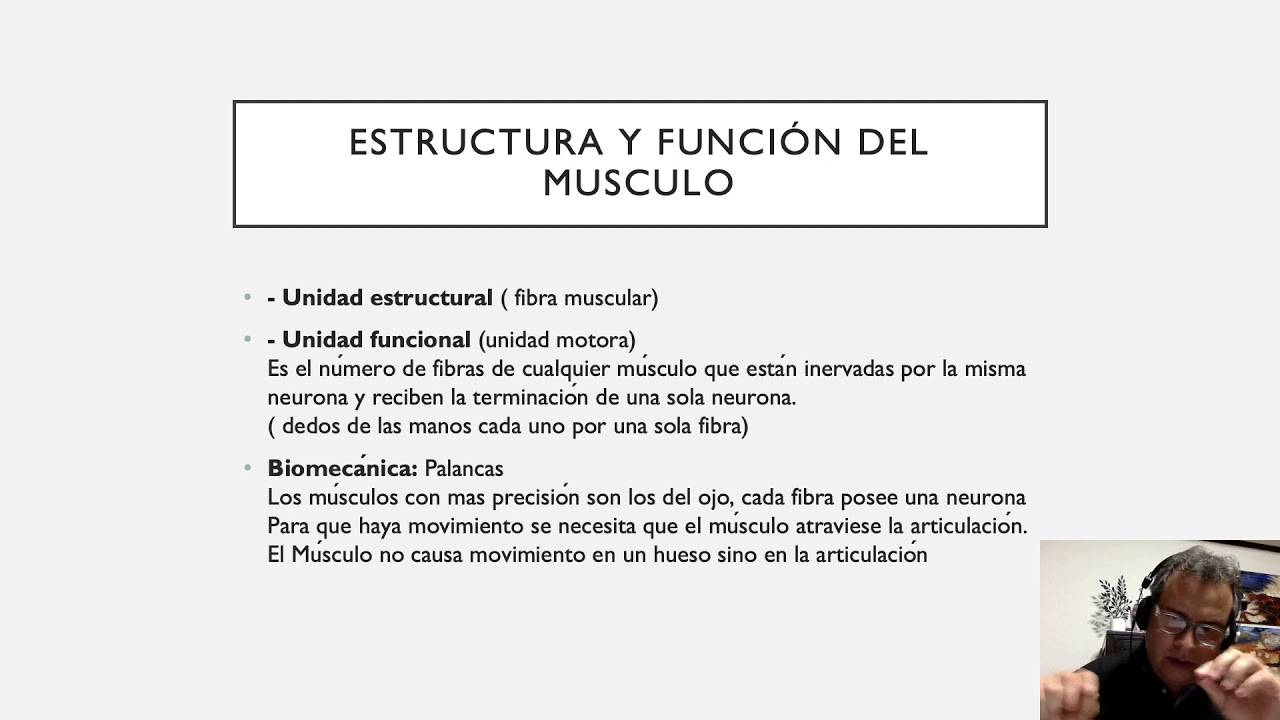 AUXILIAR VETERINARIO, Clase 3 Introducción a la Miologia... CURSO 100% GRATUITO