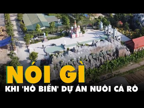 Video Chủ đầu tư nói gì khi 'hô biến' dự án nuôi cá rô phi... - youtube