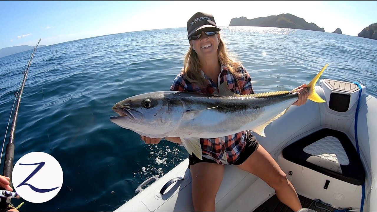 DEEP SEA FISHING NEW ZEALAND: Yellowtail Kingfish, John Dory (Ep 114)