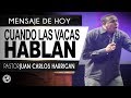 Cuando las vacas hablan - Pastor Juan Carlos Harrigan