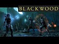 ESO BLACKWOOD - NEW Music OST! (Part 6 - Deadlands Suite) Elder Scrolls Soundtrack