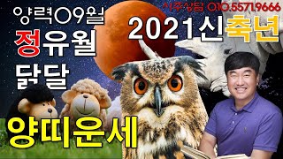 양띠 9월 운세, 꼴 보기 싫은 놈 나타났다. 명절이 정말 싫어. 그래도 부모님 얼굴은 봐야지.. 2021년…