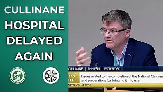 Famous David Cullinane: Hospital project has been a disaster Wealth