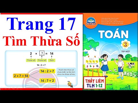 Video Toán Lớp 3 Trang 17 | Tìm Thừa Số | Chân Trời Sáng Tạo - youtube