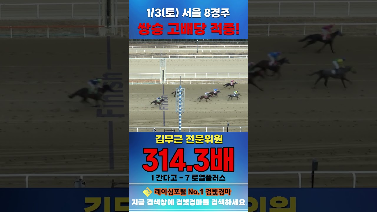 [서울 경마] 1월 3일 토요 8경주 김무근 전문위원 쌍승 고배당 적중 #한국마사회 #horse #경마 #automobile #하이라이트 #비트코인