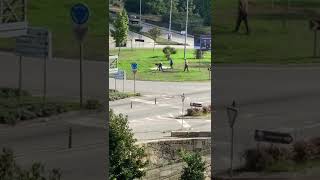 Retirada de cartazes de campanha por Junta de Braga gera polémica
