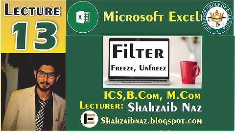 Microsoft Excel Video on Sorting, Filters, Freezing Rows & Columns in Hindi/Urdu