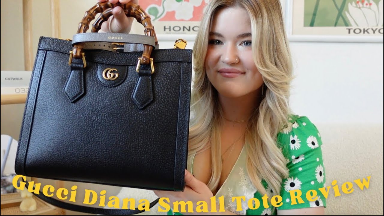 Diana mini textured-leather tote bag