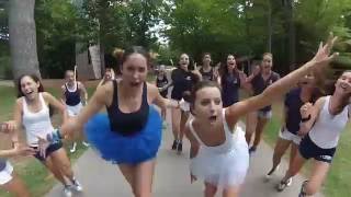 Robindel Can't Stop The Feeling (Justin Timberlake Lip-Dub)