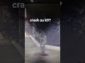 vai noia, é crack ou k9?