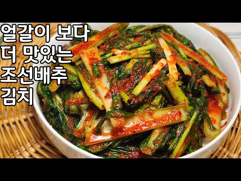 얼갈이 보다 10배 맛있는 조선배추 김치가 요즘 별미 김치입니다