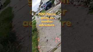 Full speed zoomies to the camper! 🚙Our dogs go wild!🐕 #adventure #camper #evcharging #evtowing
